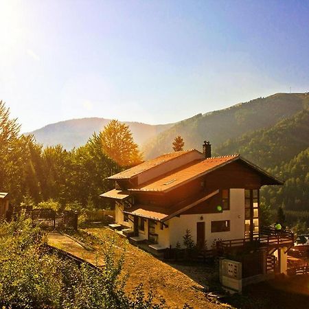 Casa Ferica Villa Azuga Dış mekan fotoğraf