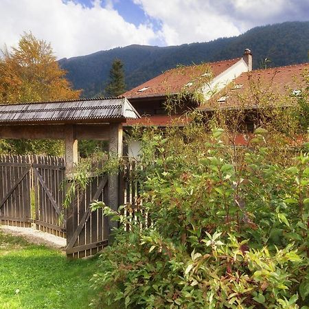 Casa Ferica Villa Azuga Dış mekan fotoğraf
