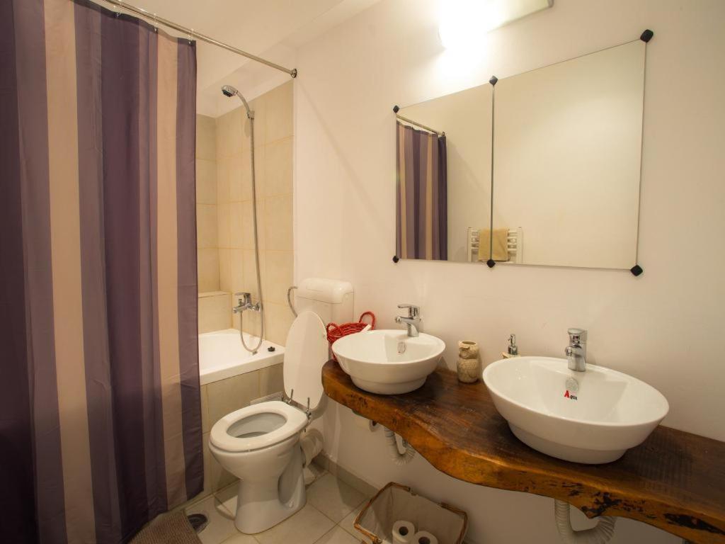 Casa Ferica Villa Azuga Dış mekan fotoğraf