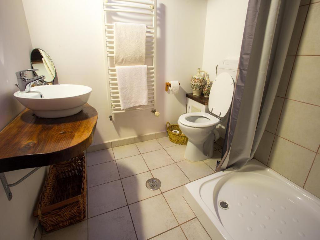 Casa Ferica Villa Azuga Dış mekan fotoğraf