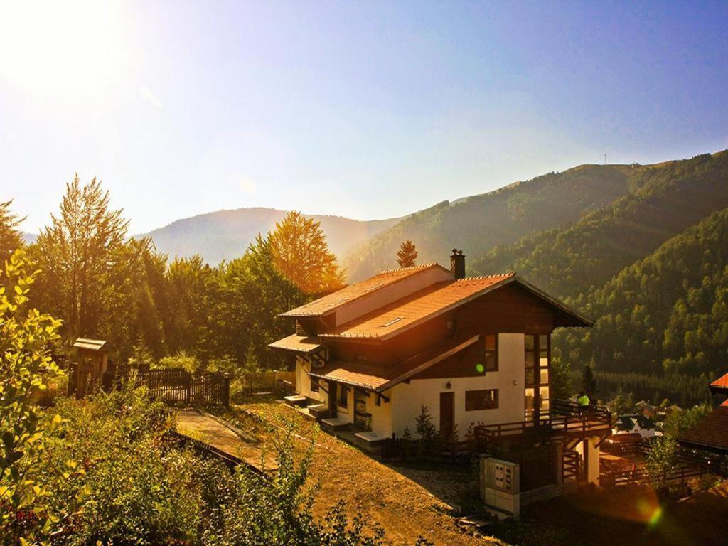 Casa Ferica Villa Azuga Dış mekan fotoğraf