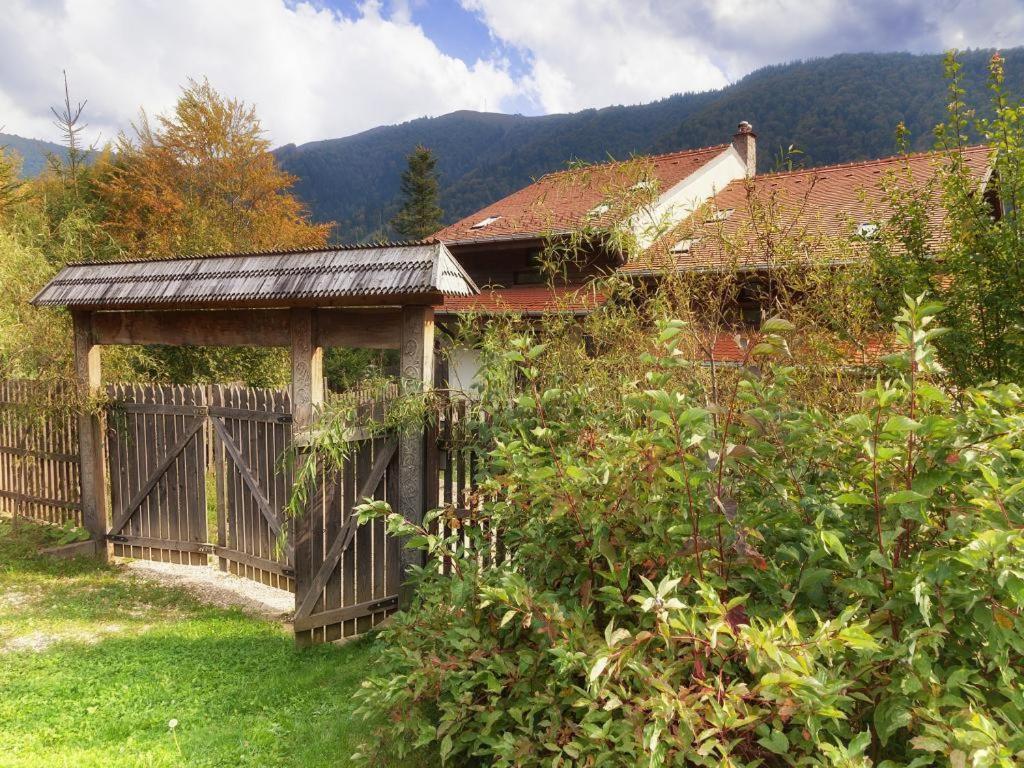 Casa Ferica Villa Azuga Dış mekan fotoğraf