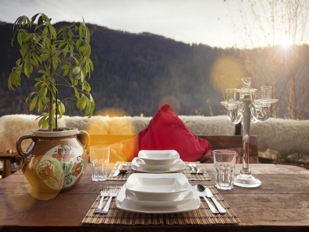Casa Ferica Villa Azuga Dış mekan fotoğraf